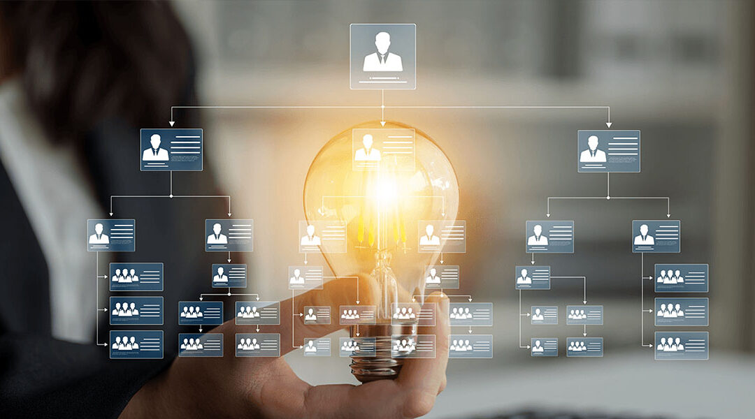 Digitale und organisationale Kernkompetenzen für den ländlichen Raum – Weiterbildung als Schlüssel für digitale Regionen